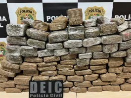 Polícia age contra advogados que comunicavam facção catarinense Operação Sintonia prendeu casal responsável por cuidar de estoque de maconha em São José