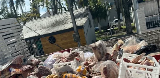 Carne de cavalo estragada era usada em açougue clandestino para produção de hambúrguer em Palhoça