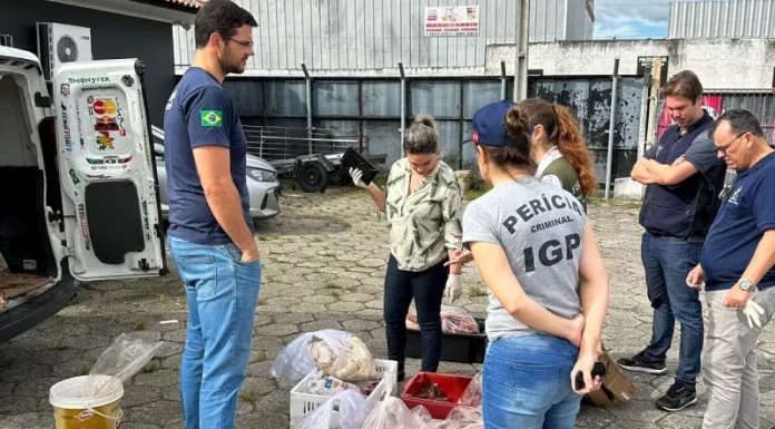 Operação fecha frigorífico clandestino em Palhoça com carnes estragadas