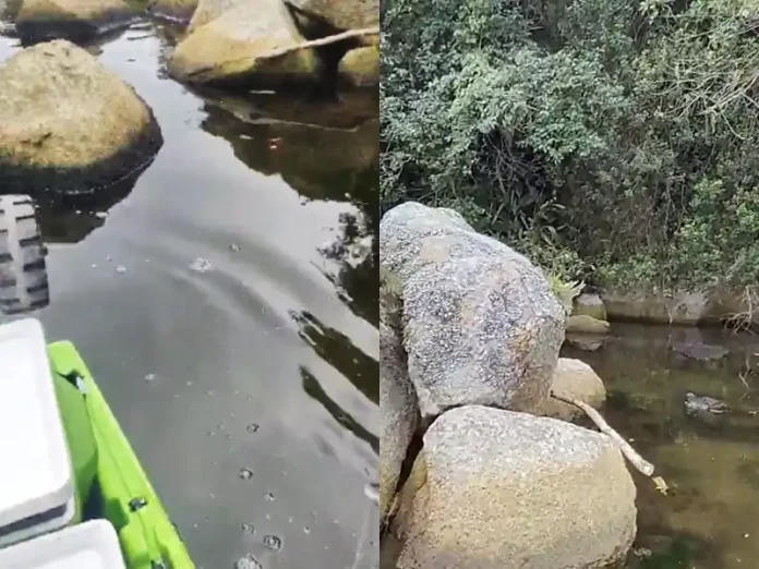 Vídeo: denúncia de despejo irregular na Lagoa da Conceição