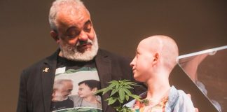 Cannabis medicinal é tema de nova frente parlamentar na Alesc