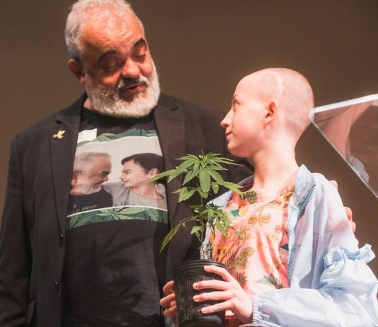 Cannabis medicinal é tema de nova frente parlamentar na Alesc