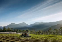Setor agropecuário catarinense
