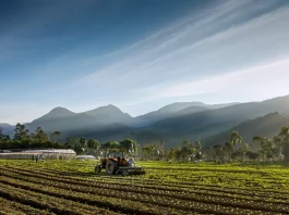 Setor agropecuário catarinense