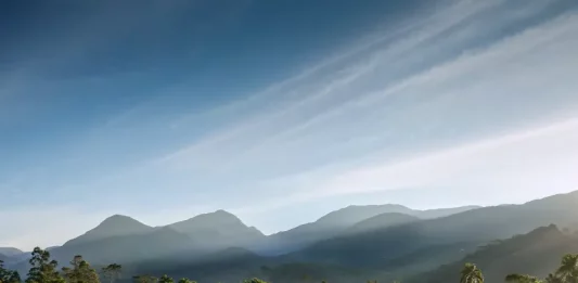 Setor agropecuário catarinense