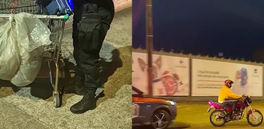 Nova comandante da Guarda de São José relata números da Operação Sentinela Flagrantes da Operação Sentinela