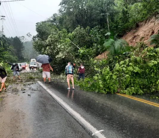 Chuva provoca mais deslizamentos e alagamentos em SC Queda de barreira em Blumenau