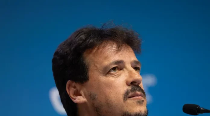 Fernando Diniz, técnico interino da seleção brasileira