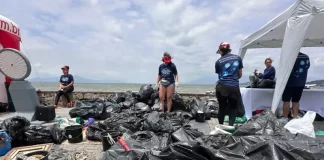 Quase três toneladas de lixo são recolhidas da orla da Beira-mar de São José