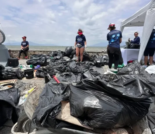 Quase três toneladas de lixo são recolhidas da orla da Beira-mar de São José