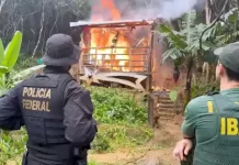 PF e Ibama colocaram fogo no casebre usado em tentativa de consolidar posse ilegal de terra