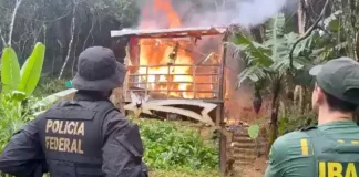 PF e Ibama colocaram fogo no casebre usado em tentativa de consolidar posse ilegal de terra