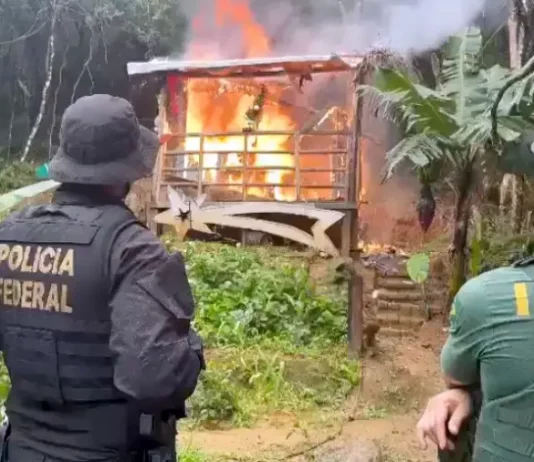 PF e Ibama colocaram fogo no casebre usado em tentativa de consolidar posse ilegal de terra