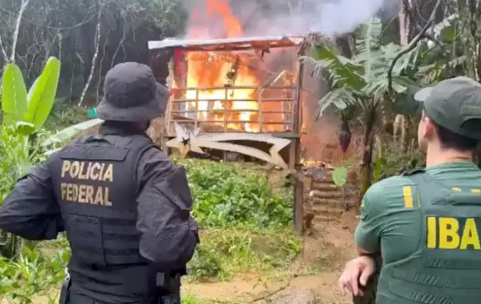 PF e Ibama colocaram fogo no casebre usado em tentativa de consolidar posse ilegal de terra