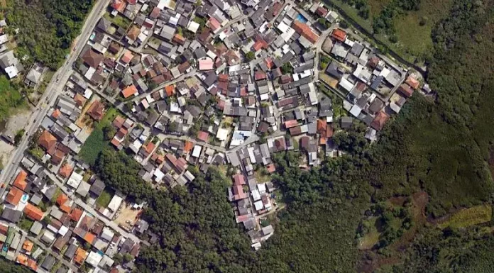 Casas em manguezal na tapera