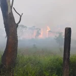 Incêndio no Parque Estadual da Serra do Tabuleiro