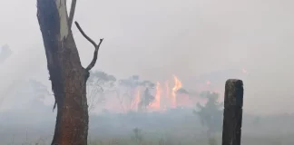 Incêndio no Parque Estadual da Serra do Tabuleiro