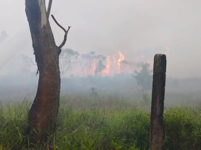 Incêndio no Parque Estadual da Serra do Tabuleiro