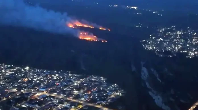 Incêndio atinge Parque do Tabuleiro na região da Baixada do Maciambú