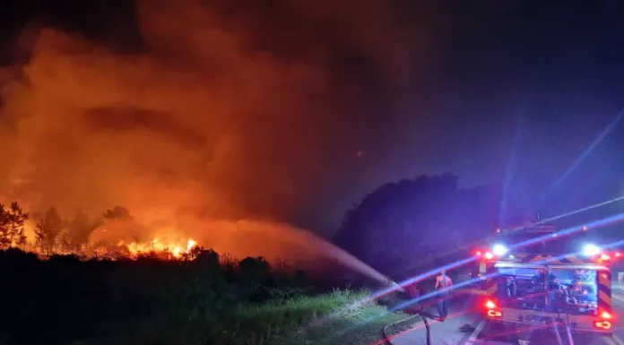 Incêndio no Parque da Serra do Tabuleiro no Natal queimou 200 hectares