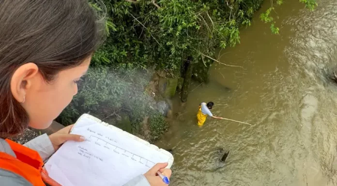 Água do Rio Forquilhas é monitorada para avaliar nível de poluição