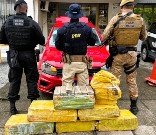 PRF e PM localizam 170 kg de maconha na BR-101 em São José