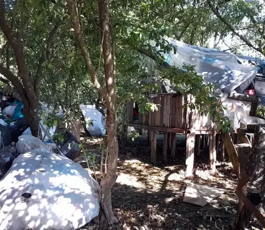 Casa irregular na Ponta de Baixo é demolida Prefeitura de São José identifica construção clandestina em área de mangue