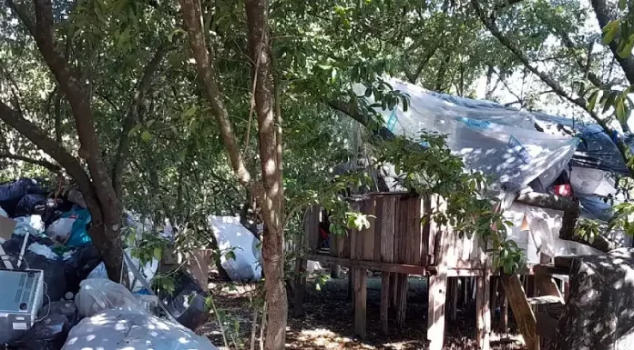 Prefeitura de São José identifica construção clandestina em área de mangue