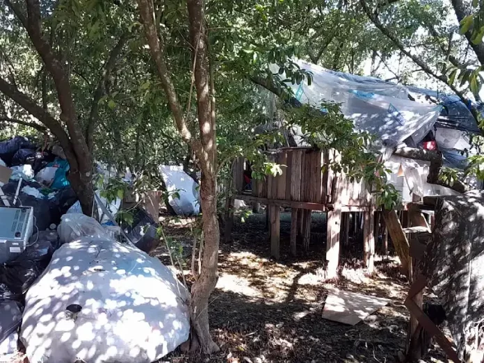 Prefeitura de São José identifica construção clandestina em área de mangue