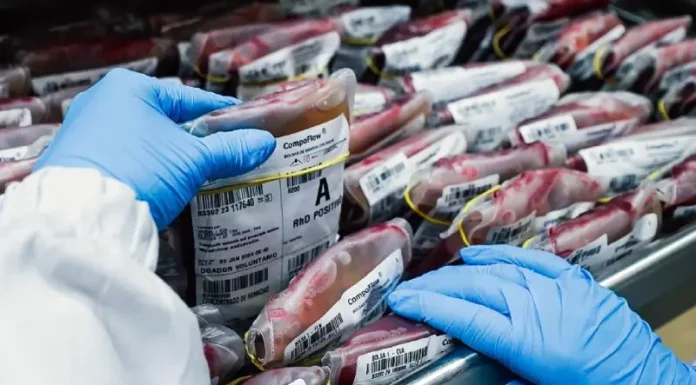 Uma doação de sangue pode salvar até 4 vidas