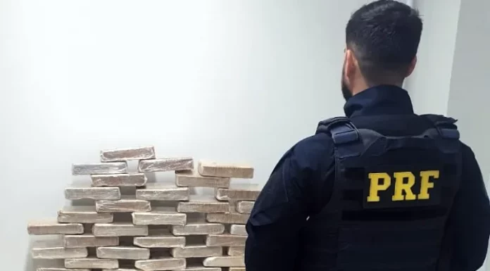 R$ 7 milhões em cocaína são apreendidos em São José