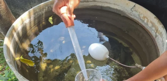 Controle da dengue esbarra em muitos focos de mosquito em SJ Controle da dengue esbarra em muitos focos de mosquito em SJ