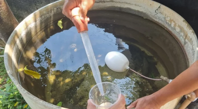 Controle da dengue esbarra em muitos focos de mosquito em SJ