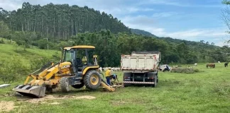 Construções são barradas em área de preservação em Sorocaba, interior de Biguaçu