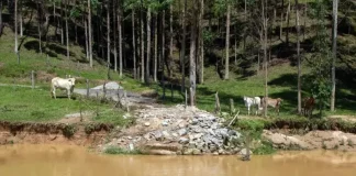 Ponte do bairro Colônia Santana será reconstruída