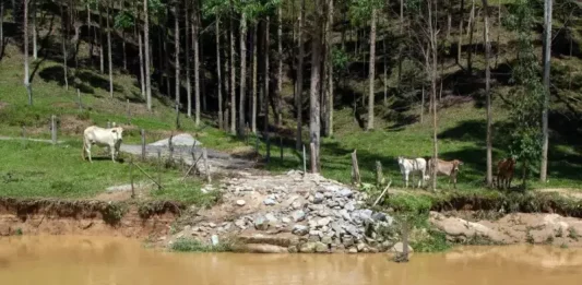 Ponte do bairro Colônia Santana será reconstruída Ponte do bairro Colônia Santana será reconstruída