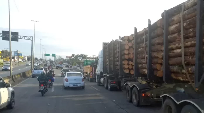 Caminhão quebrado na BR-101 entre Palhoça e São José afetou o trânsito