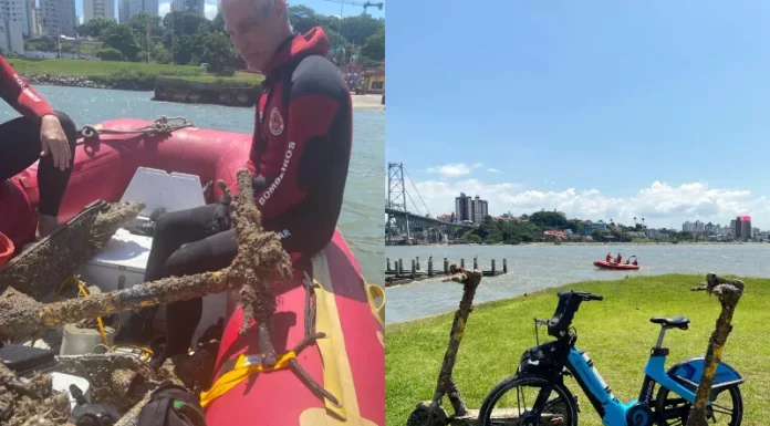 Mergulhadores encontram três veículos elétricos sob a Ponte Hercílio Luz