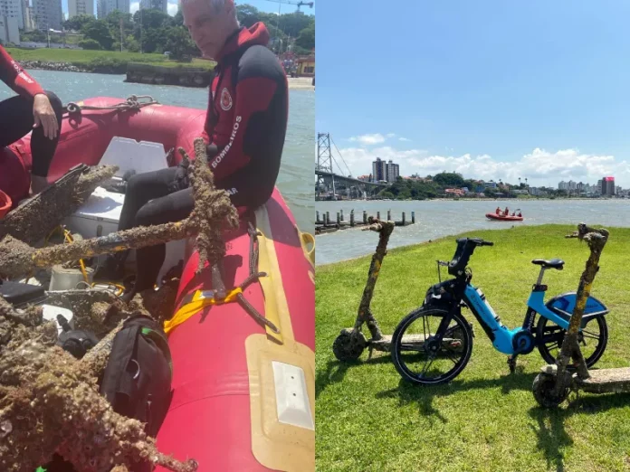 Mergulhadores encontram três veículos elétricos sob a Ponte Hercílio Luz