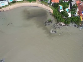 Análise preliminar indica multiplicação de microalgas na baía de São José Mancha no mar da orla sul de São José pode ser excesso de microalgas