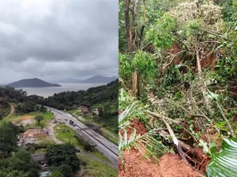Indígenas do Morro dos Cavalos pedem ajuda após chuvas torrenciais Impacto da chuva na terra indígena Morro dos Cavalos, em Palhoça