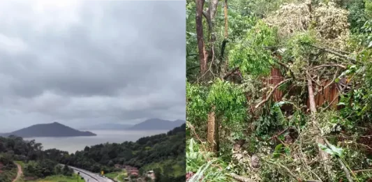 Impacto da chuva na terra indígena Morro dos Cavalos, em Palhoça