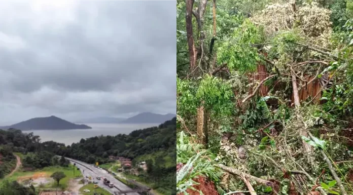 Impacto da chuva na terra indígena Morro dos Cavalos, em Palhoça