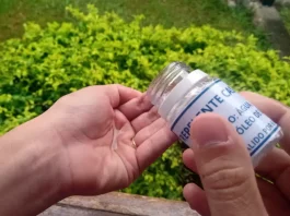 Catarinenses recorrem a repelente caseiro devido ao aumento de casos de dengue