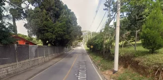 Rua em São José será fechada para corte de árvores