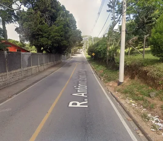 Rua em São José será fechada para corte de árvores