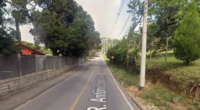 Rua em São José será fechada para corte de árvores