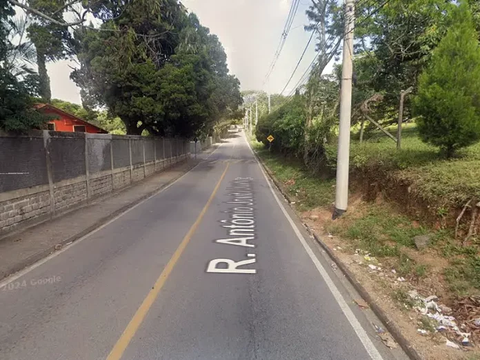 Rua em São José será fechada para corte de árvores
