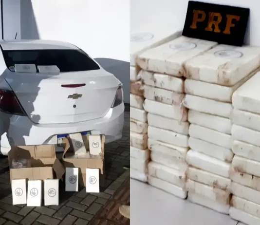 51 quilos cocaína apreendidos em paulo lopes pela prf