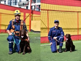 Buscas no RS são reforçadas com binômios dos Bombeiros Buscas no RS são reforçadas com binômios dos Bombeiros catarinenses
